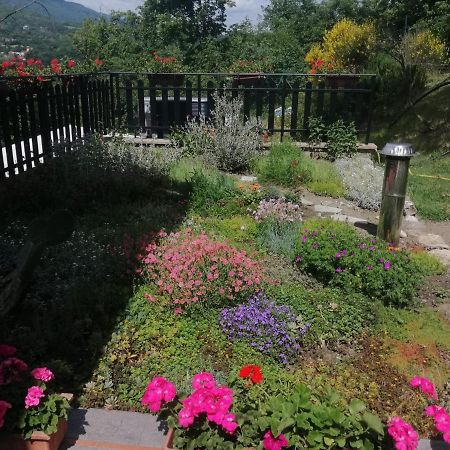 B&B Clara'S Garden Ponte della Venturina Exterior photo