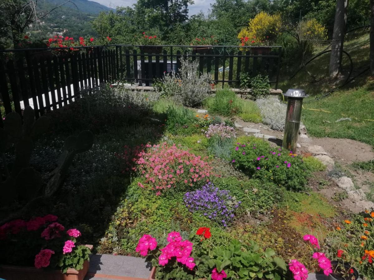 B&B Clara'S Garden Ponte della Venturina Exterior photo